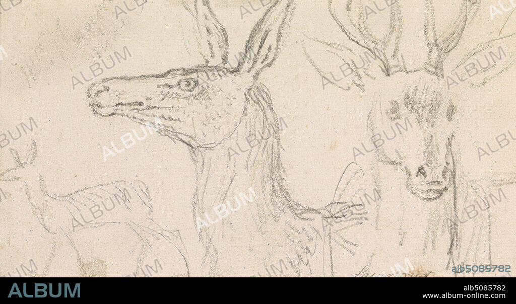 Studies of Stags' Heads, James Seymour, 17021752, British, undated, Graphite on medium, slightly textured, cream laid paper, Sheet: 3 1/2 × 6 3/8 inches (8.9 × 16.2 cm), Mount: 12 × 14 1/4 inches (30.5 × 36.2 cm), and Binding: 12 inches (30.5 cm), animal art, antlers, deer, sporting art, stag.