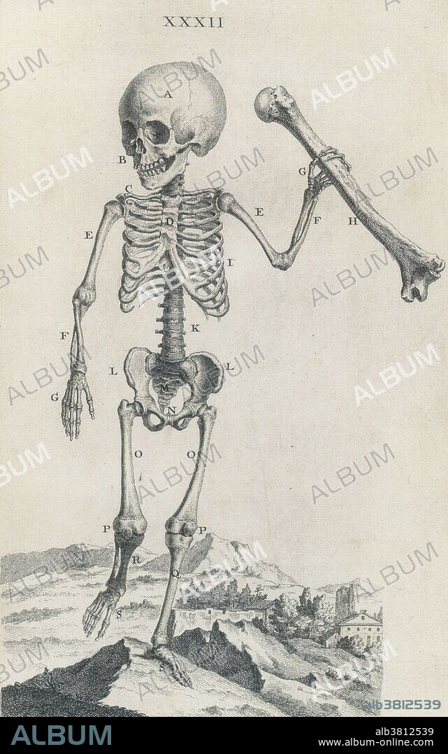 William Cheselden (October 19, 1688 - April 10, 1752) was an English surgeon and teacher of anatomy and surgery. He studied anatomy in London under William Cowper, and began lecturing anatomy in 1710. He was elected as a Fellow of the Royal Society in 1712 and the following year saw the publishing of his Anatomy of the Human Body, which achieved great popularity becoming an essential study source for students, lasting through thirteen editions, mainly because it was written in English instead of Latin as was customary. In 1733 he published Osteographia or the Anatomy of Bones, the first full and accurate description of the anatomy of the human skeletal system. Osteographia, with its novel vignettes and its use of a camera obscura in the production of the plates, is recognized as a landmark in the history of anatomical illustration. In 1744 he was elected to the position of Warden of the Company of Barber-Surgeons, and had a role in the separation of the surgeons from the barbers and to the creation of the independent Company of Surgeons in 1745, an organization that would become the Royal College of Surgeons of England. He died in 1752 at the age of 63.