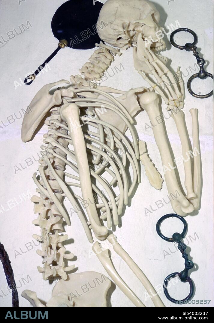 A British Iron Age chariot burial at Arras Barrow cemetery in the Yorkshire Wolds. The skeleton of a woman of high rank c. 35-40 years old, with an iron mirror and harness trappings of bronze. Behind her are the iron tyres of a pair of chariot wheels. From the British Museum's collection.
