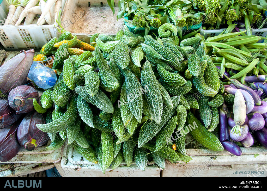 Bitter melon originated in India, and it was carried to China in the 14th century. Asia's smallest and least-known nation, the Republic of Maldives, lies scattered from north to south across a 750-kilometre sweep of the Indian Ocean 500 kilometres south-west of Sri Lanka. More than 1000 islands, together with innumerable banks and reefs, are grouped in a chain of nineteen atolls which extends from a point due west of Colombo to just south of the equator. The atolls, formed of great rings of coral based on the submarine Laccadive-Chagos ridge, vary greatly in size. Some are only a few kilometres square, but in the far south the great atoll of Suvadiva is sixty-five kilometres across, and has a central lagoon of more than 2000 square kilometres. The northern and central atolls are separated from each other by comparatively narrow channels of deep water, but in the south Suvadiva is cut off by the eighty-kilometre-wide One-and-a-half-Degree Channel. Addu Atoll is still more isolated, being separated from the atoll of Suvadiva by the seventy-kilometre-wide Equatorial Channel.