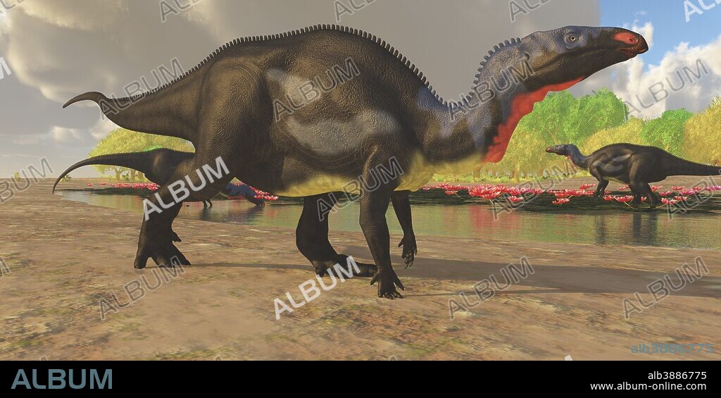 A herd of Camptosaurus dinosaurs visit a pond to eat and drink in the Jurassic Period.