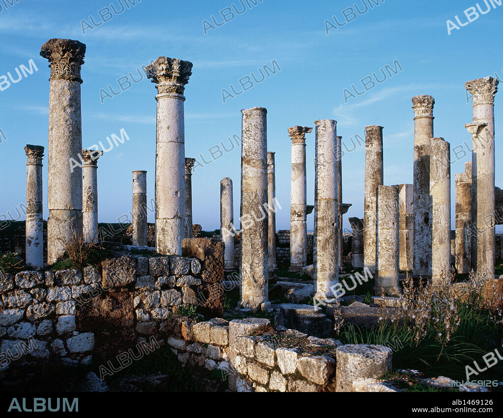 SYRIA. APAMEA (Afamia). Roman houses. Ruins.