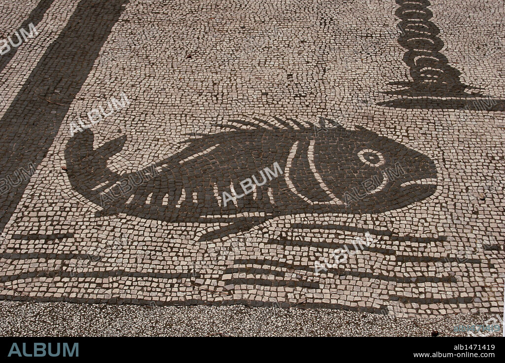 Roman mosaic. Fish. From the Forum of the Corporations or Piazza delle Corporazione. Ostia Antica. Italy.