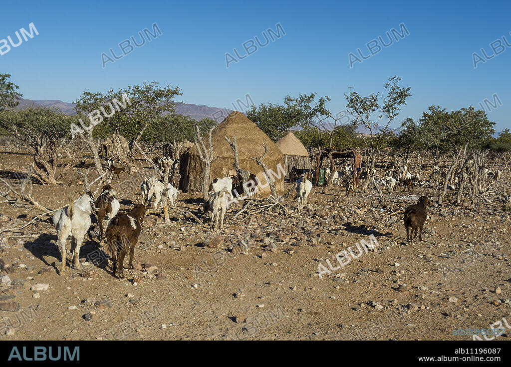 Himba gral (compound), near Sesriem, Kakovelt, Namibia, Africa.
