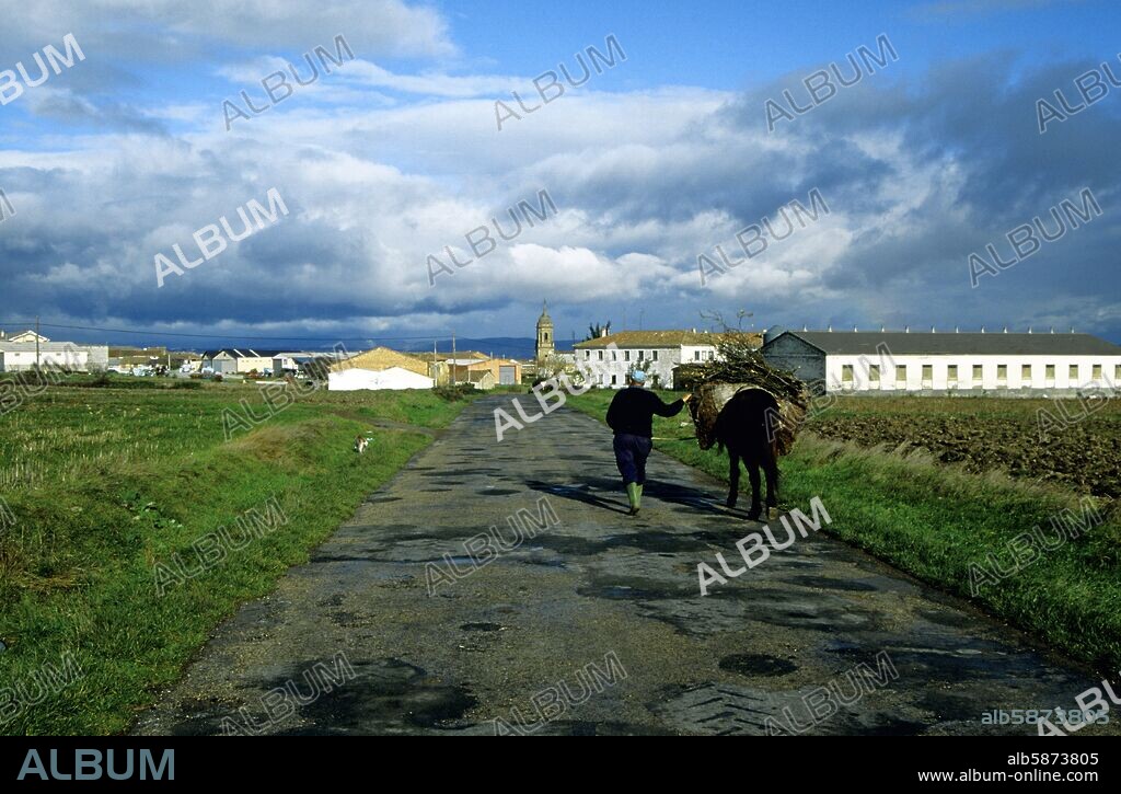 Grañon, campesino y burro entrando al pueblo (Camino de Santiago).