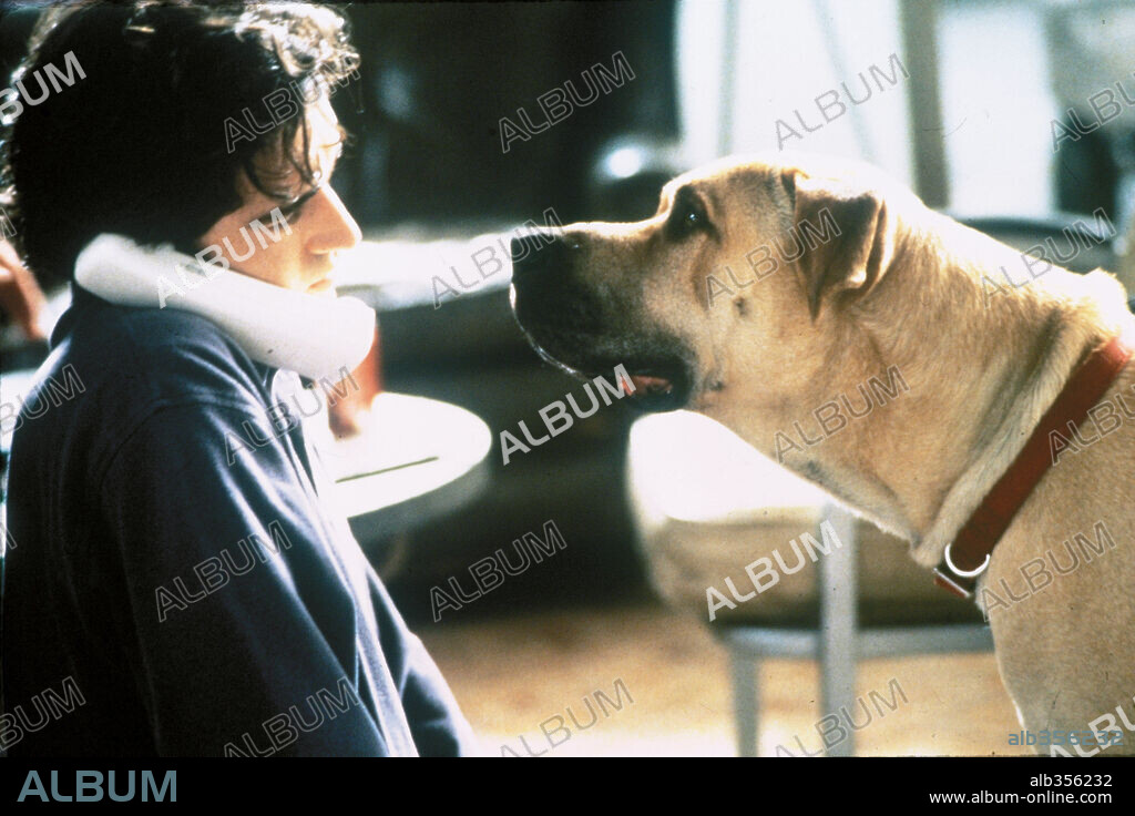 BEN CHAPLIN en LA VERDAD SOBRE PERROS Y GATOS, 1996 (THE TRUTH ABOUT CATS & DOGS), dirigida por MICHAEL LEHMANN. Copyright 20TH CENTURY FOX.