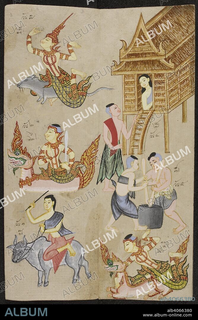 ANON. Drawings based on the Chinese zodiac. Phrommachat. 1885. Drawings based on the Chinese zodiac, which relates each lunar month to the animals of the 12-year-cycle and their reputed attributes (earth, wood, fire, iron, water) as well as a male or female avatar (yin-yang), a plant and a number diagram. Also includes descriptions of lucky and unlucky combinations of couples and how to use the match making method of the "entwined Naga". Explanation of the method of calculating the right directions for building a new house using the "rotating Naga", explanation of lucky and unlucky shpaes of land plots. Used as a manual for fortune telling and divination. Illustrations in water colour and ink. Physical Description Materials: Paper folding book (samut khoi). Dimensions: 340 mm x 110 mm. Source: Or. 3593 f.3. Language: Thai.
