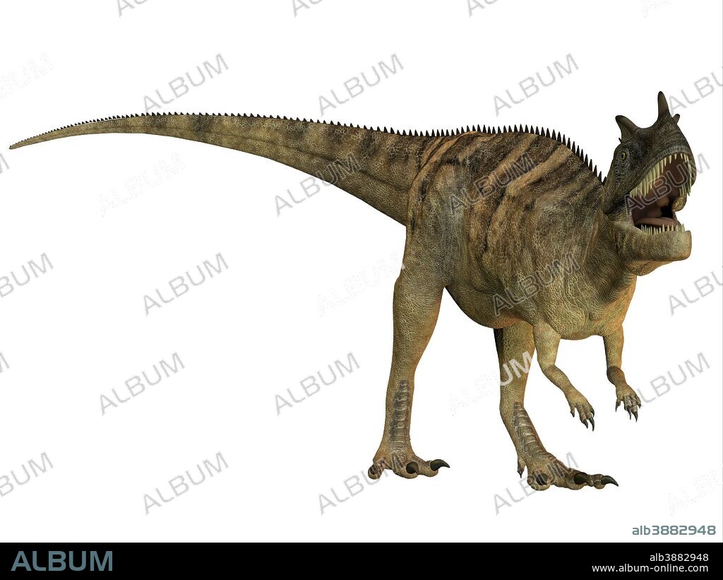 The Ceratosaurus is a horned theropod dinosaur found in North America from the Jurassic Period.