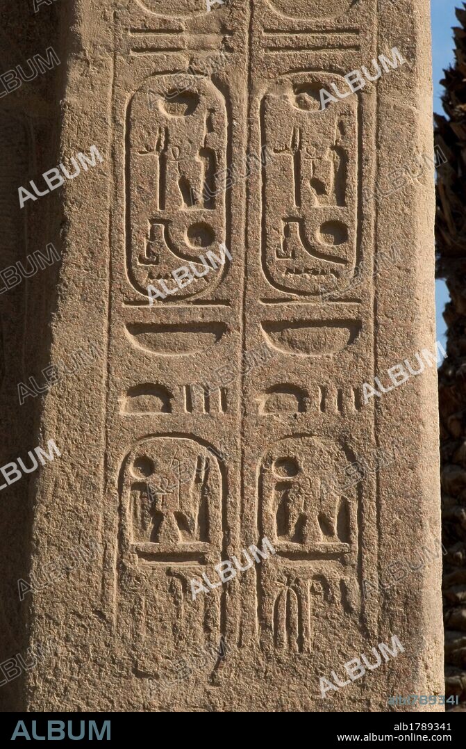 ESCRITURA JEROGLÍFICA. Detalle de escritura egipcia. Museo al Aire Libre (Mit Rahina). Menfis. Egipto.