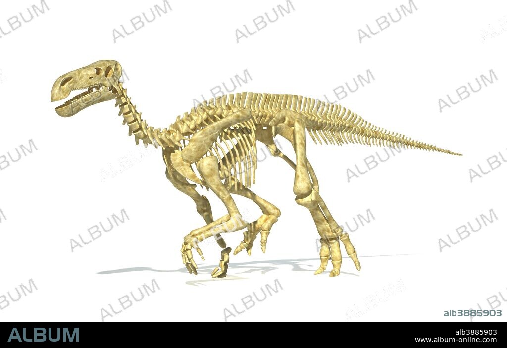 3D rendering of an Iguanodon dinosaur skeleton, perspective view.