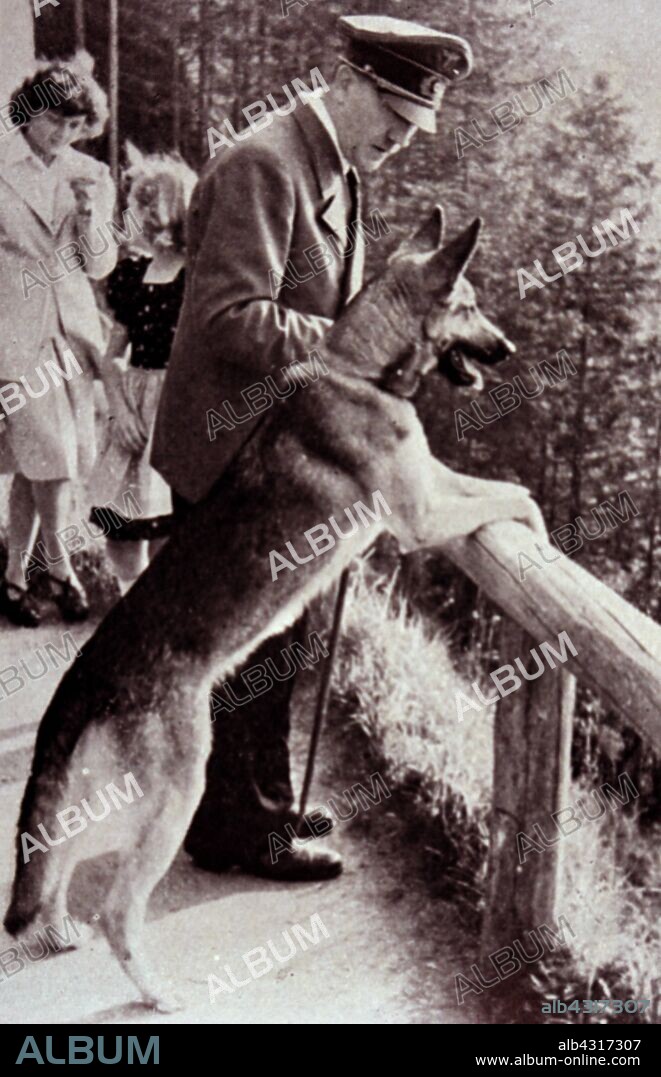 Blondi (1941 - 1945) was Adolf Hitler's German Shepherd, a gift as a puppy, from Martin Bormann in 1941. Blondi stayed with Hitler even after his move into the Fuhrerbunker located underneath the garden of the Reich Chancellery on 16 January 1945. According to Albert Speer, Hitler killed Blondi because he feared that the Russians would capture and torture her after overrunning the bunker.