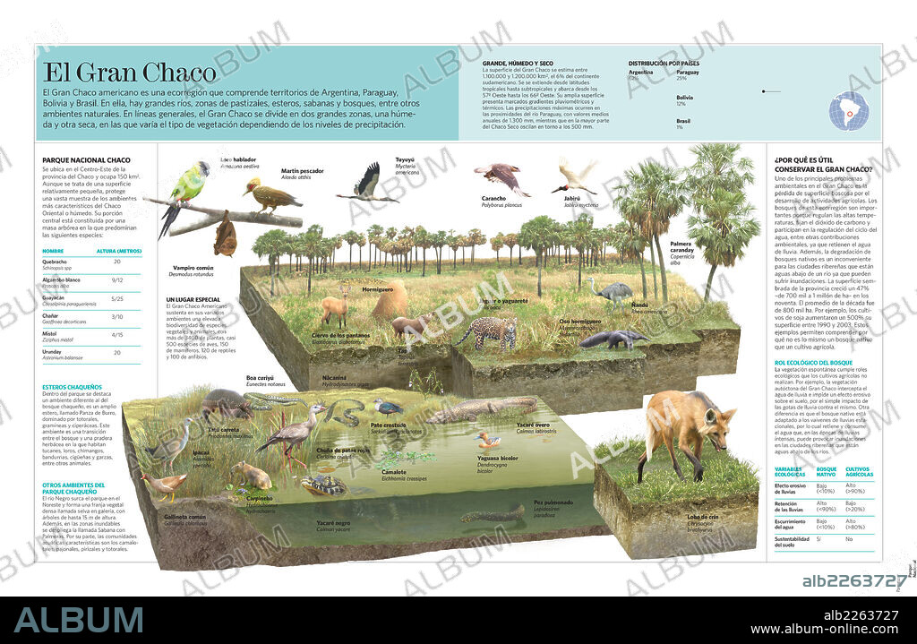 El Gran Chaco. Infografía del ecosistema del Gran Chaco americano.