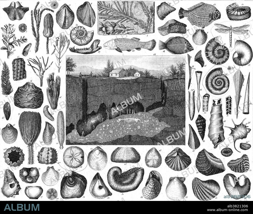 The Pliocene Epoch is the period in the geologic timescale that extends from 5 million to 2 million years before present. It is the second and youngest epoch of the Neogene Period in the Cenozoic Era. The Pliocene follows the Miocene Epoch and is followed by the Pleistocene Epoch. Both marine and continental faunas were essentially modern, although continental faunas were a bit more primitive than today. The first recognizable hominins, the australopithecines, appeared in the Pliocene. Herbivores got bigger, as did specialized predators. The Brockhaus and Efron Encyclopedic Dictionary contains 121,240 articles, 7,800 images, and 235 maps. Published in Imperial Russia in 1890-1907, the comprehensive encyclopedia was a joint venture of Leipzig and St Petersburg publishers. Originally captioned: Illustration from Brockhaus and Efron Encyclopedic Dictionary (1890-1907).