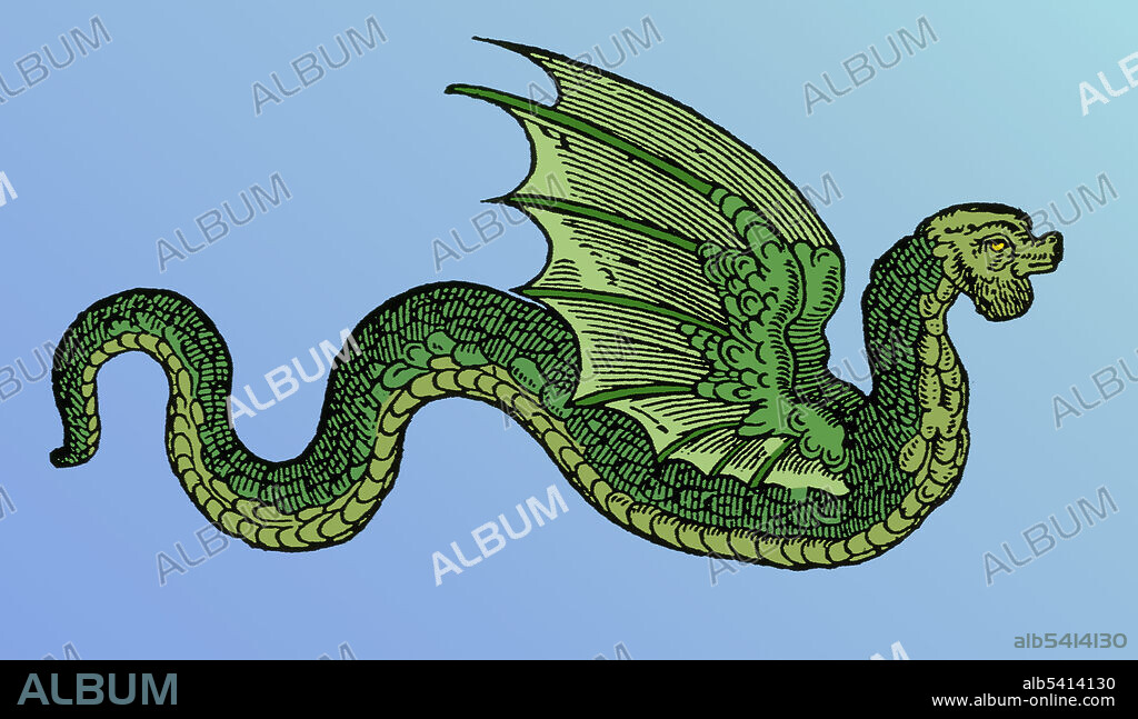 A wattled amphiptere, which appeared in Edward Topsell's bestiary, The Historie of Serpents, 1608. Wattled is a term used in describing the gills of a cock. An amphiptere is a winged serpent. The serpent, or snake, is one of the oldest and most widespread mythological symbols. The word is derived from Latin serpens, a crawling animal or snake. Snakes have been associated with some of the oldest rituals known to humankind.