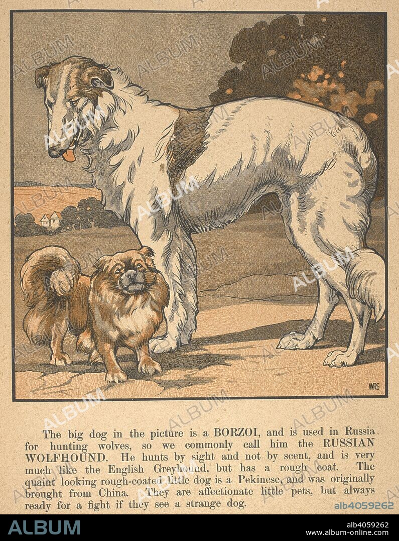 The large dog shown is a Borzoi, or a Russian Wolfhound, as it is used in Russia for hunting wolves. The smaller dog is a Pekinese, originally brought from China . A book of dogs. Toronto : The Canada Games Co., 1921. Source: LB.31.b.14084. Language: English.
