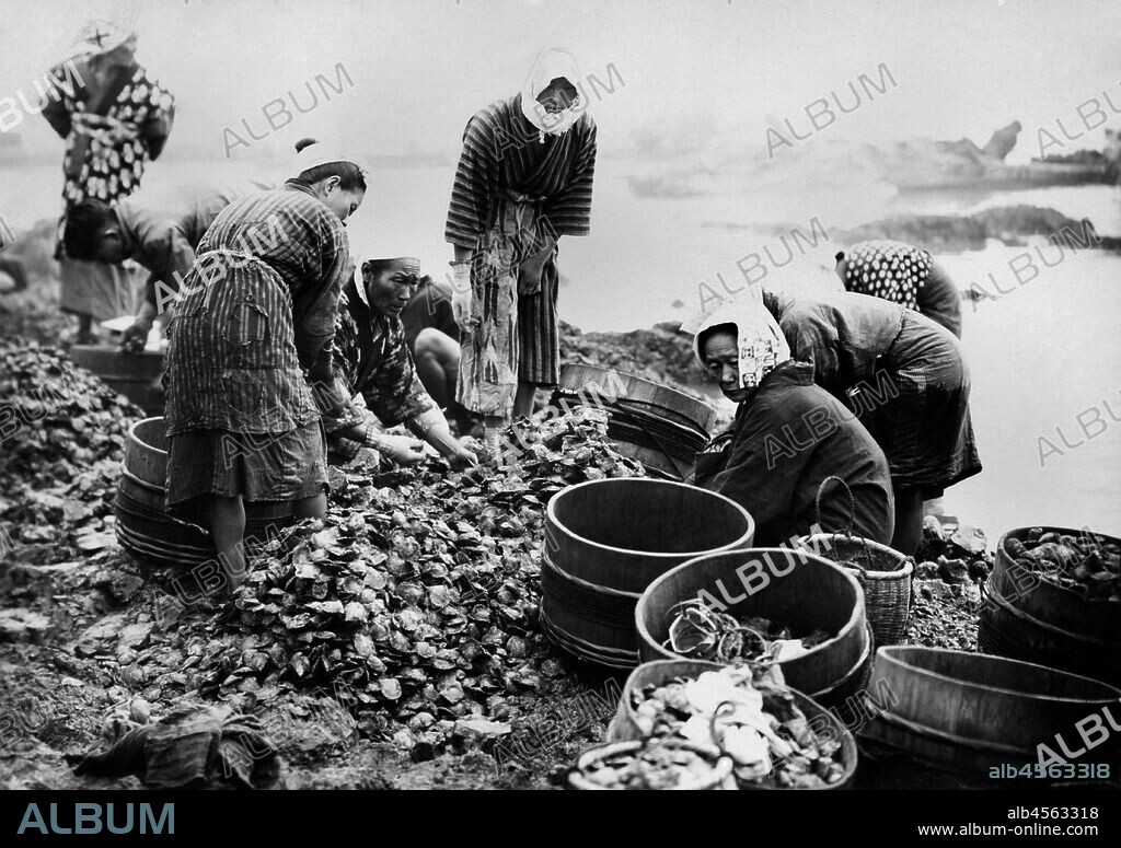 Japan. angler of Japanese pearl oyster. 1920-30.