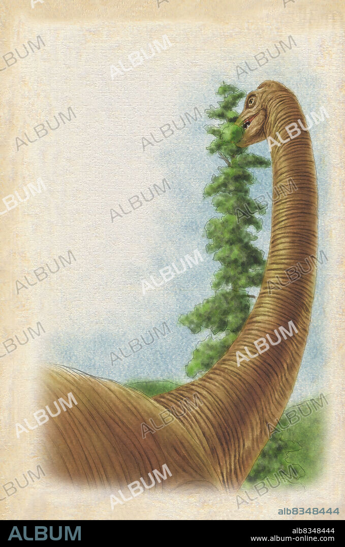 Brachiosaurus was a dinosaur that measured 40 ft. (12 m) in height and could weigh more than 50 tonsthe equivalent of 10 elephants. This gigantic herbivore would have lived 156 to 145 million years ago. Fossils have been found in the western United States and in Africa.