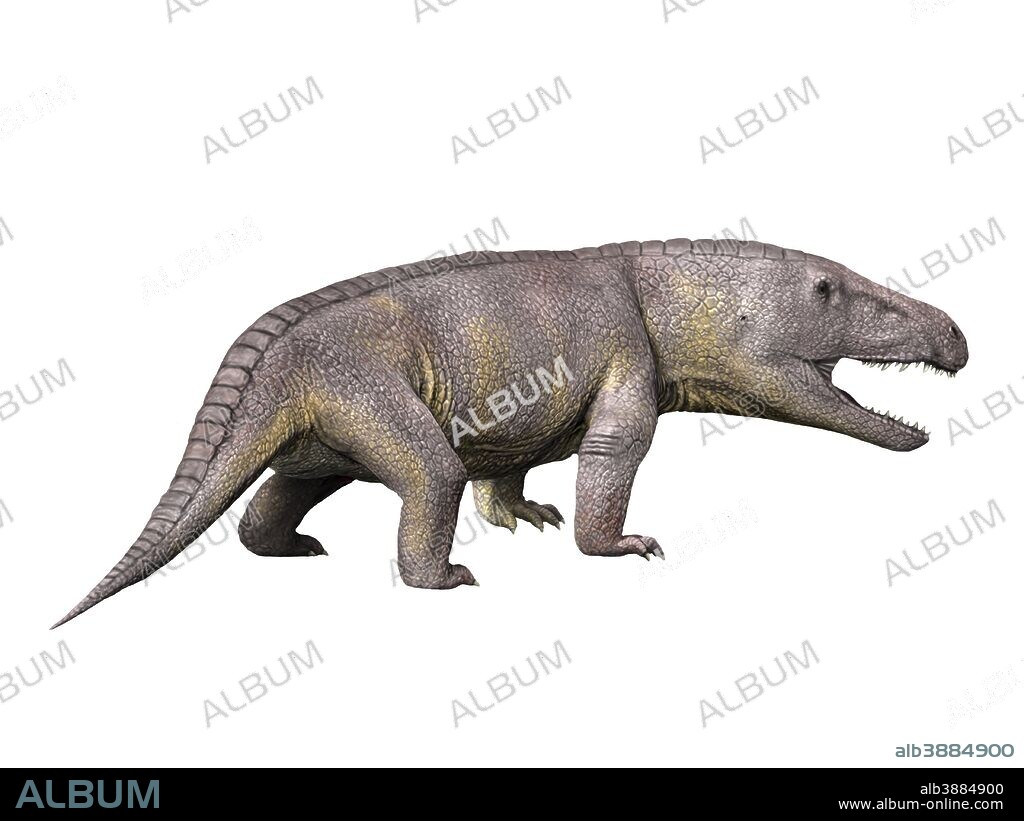 Erythrosuchus africanus reptile from the Middle Triassic of South Africa.