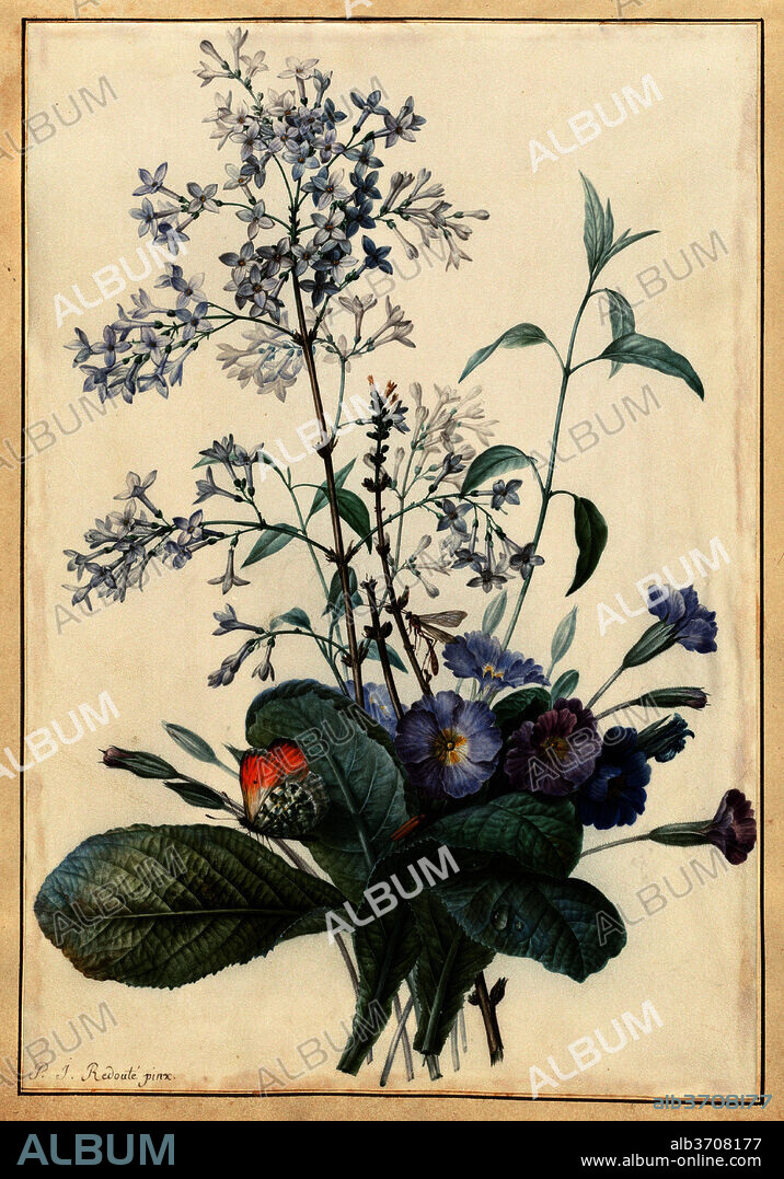 PIERRE JOSEPH REDOUTE. A Bouquet of Flowers with Insects. Dimensions: sheet: 25.3 x 17.2 cm (9 15/16 x 6 3/4 in.)  support: 28.3 x 22.3 cm (11 1/8 x 8 3/4 in.). Medium: watercolor with gold on vellum; laid down.