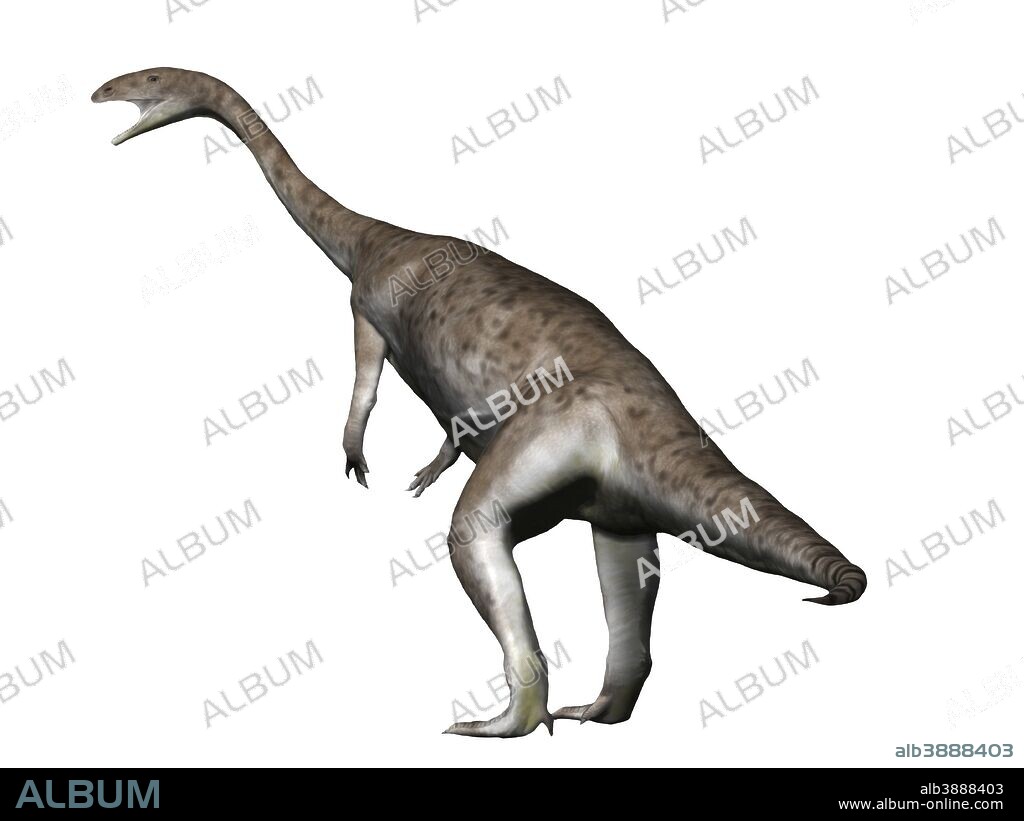 Anchisaurus is a prosauropod dinosaur from the Jurassic Period.