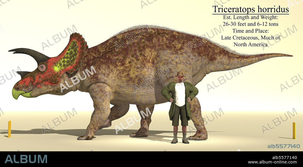 Size reference chart of a Triceratops horridus dinosaur, alongside a human for comparison.