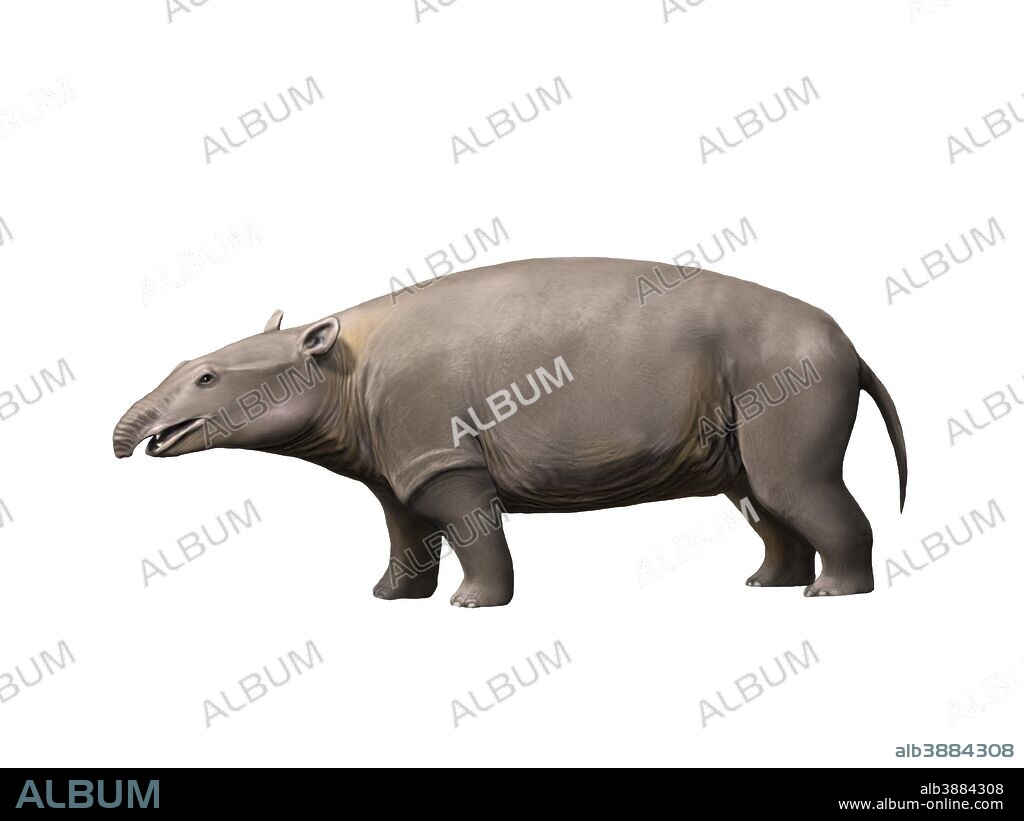 Moeritherium is a proboscidian from the Eocene epoch of Egypt.