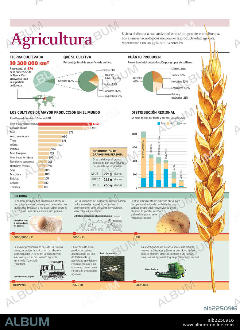 AGRICULTURA. Infografía de los principales cultivos a nivel mundial e historia de la agricultura.