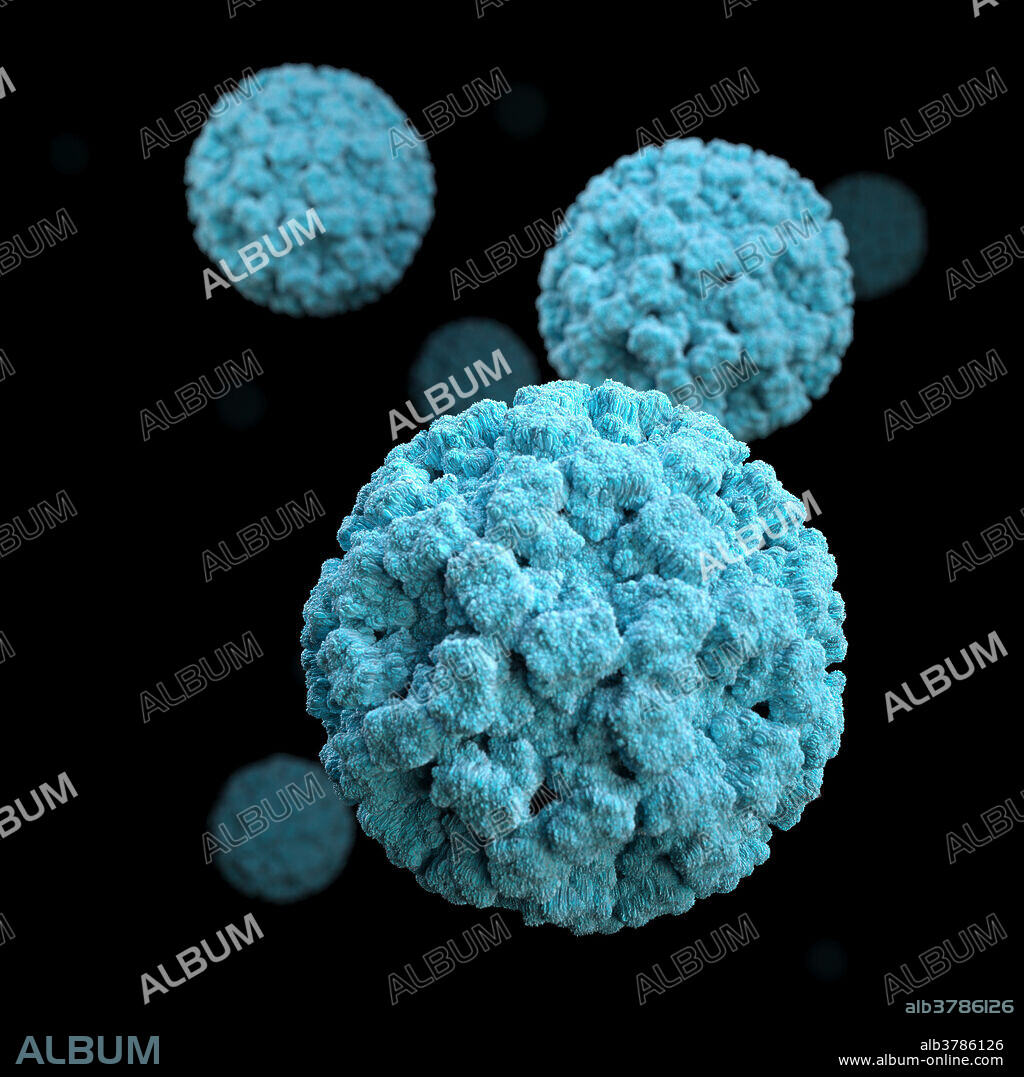 3D graphical representation of a number of Norovirus virions set against a black background. Noroviruses belong to the genus Norovirus, and the family Caliciviridae. They are a group of related, single-stranded RNA, nonenveloped viruses that cause acute gastroenteritis in humans. Norovirus is the official genus name for the group of viruses provisionally described as, Norwalk-like viruses (NLV). Norovirus is a very contagious virus that can infect anyone. You can get it from an infected person, contaminated food or water, or by touching contaminated surfaces. The virus causes your stomach or intestines or both to get inflamed. This leads you to have stomach pain, nausea, and diarrhoea, and to throw up. These symptoms can be serious for some people, especially young children and older adults.
