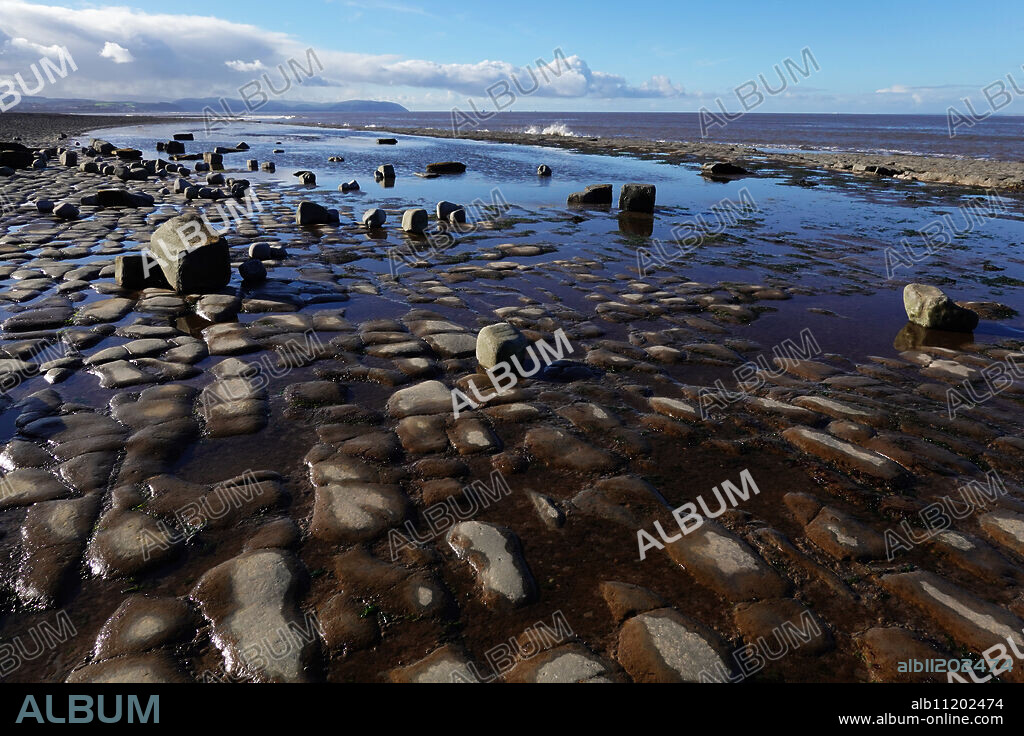 The intertidal zone of the Quantock Coast, West Somerset, contains an abundance of geology and wildlife. It is a Site of Special Scientific Interest (SSSI) and is of international geological importance.