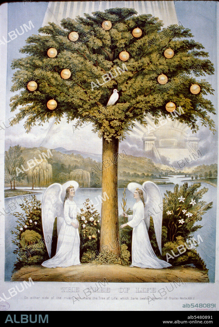 The tree of life on either side of the river was there the tree of life which bare twelve manner of fruits.