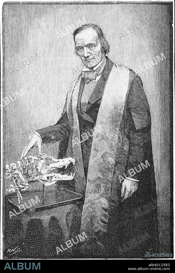 Richard Owen, British naturalist, c1856 (1891). After qualifying and practising as a surgeon, Owen (1804-1892) made major contributions in the fields of anatomy and paleontology. He was responsible for first coining the word dinosaur (terrible lizard) in 1841 for the fossilized reptiles that had been discovered. Owen was opposed to Darwin's theories, believing that natural selection was insufficient to explain evolution. From The Strand Magazine. (London, 1891).