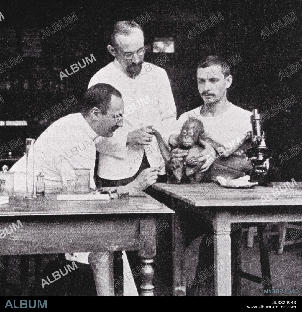 Halberstaedter and Prowazek with Orangutan, 1907