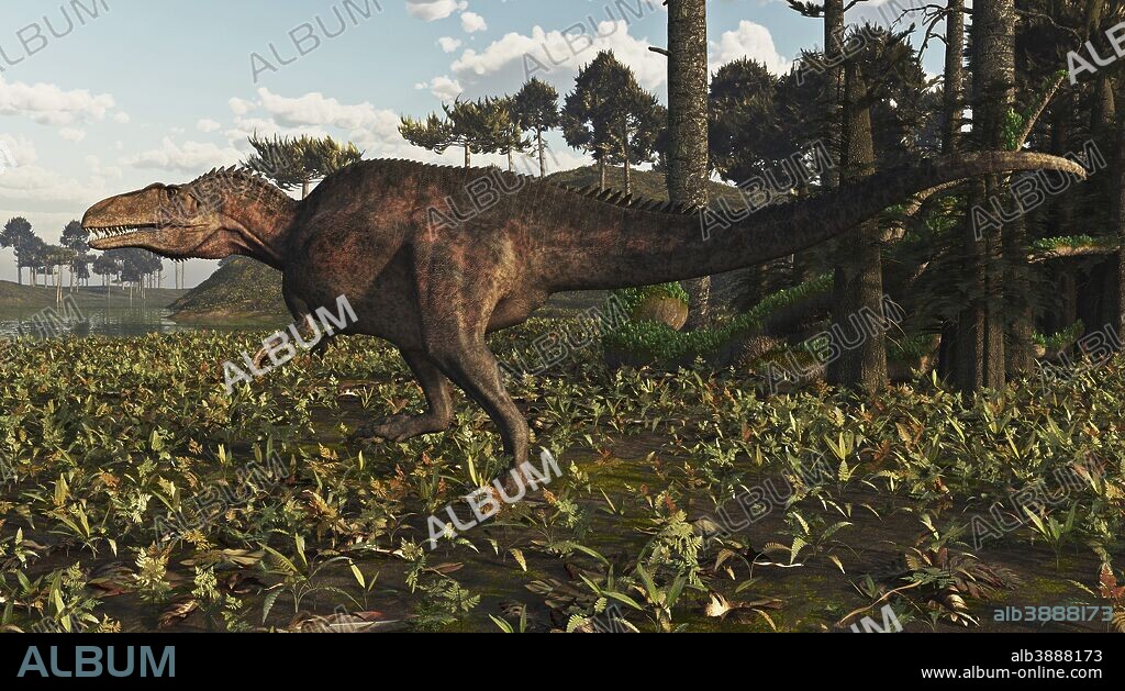 Acrocanthosaurus is a North American predator from the early Cretaceous from 115-108 million years ago. At 38 feet, it was the largest known predator of its time. It was an early relative of Carcharodontosaurus and Giganotosaurus.
