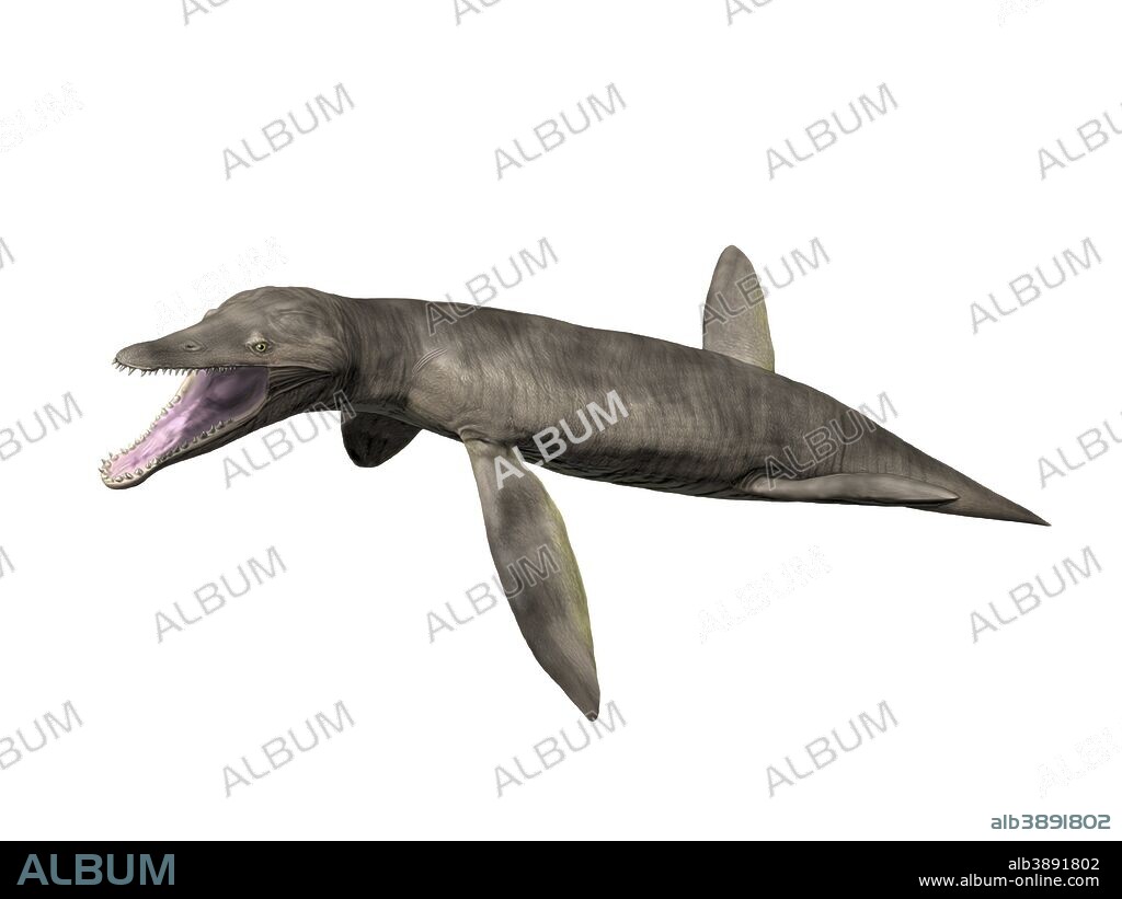 Pliosaurus kevani, Late Jurassic of England, United Kingdom.