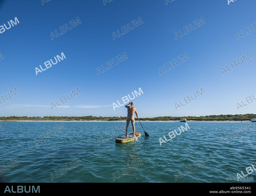 Naked older man practicing Paddle surfing, Ses Covetes beach, Majorca, Balearic Islands, Spain.