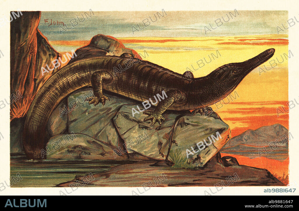 Archegosaurus decheni basking on a rock. Extinct species of temnospondyl amphibian which lived during the Asselian to Wuchiapingian stages of the Permian. Archegosaurus. Colour printed illustration by F. John from Wilhelm Bolsches Tiere der Urwelt (Animals of the Prehistoric World), Reichardt Cocoa company, Hamburg, 1908.