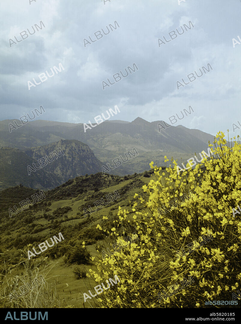 Mount Oeta, not far from the Thermophylae Pass. From here, Heracles is said to have ascended to Olympus.