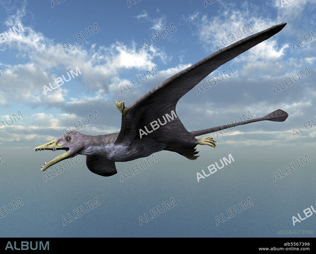 Eudimorphodon ranzii, Pterosauria, Late Triassic of Italy.