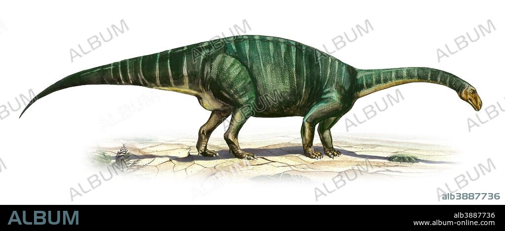 Plateosaurus engelhardti, a prehistoric era dinosaur from the Late Triassic period.