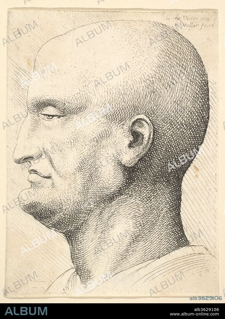 Head of a bald man in profile to left. Artist: After Leonardo da Vinci (Italian, Vinci 1452-1519 Amboise). Dimensions: Plate: 3 1/8 × 2 3/8 in. (7.9 × 6 cm). Etcher: Wenceslaus Hollar (Bohemian, Prague 1607-1677 London). Date: 1644-52.
Head of a bald man with prominent chin in profile to left; after Leonardo da Vinci.