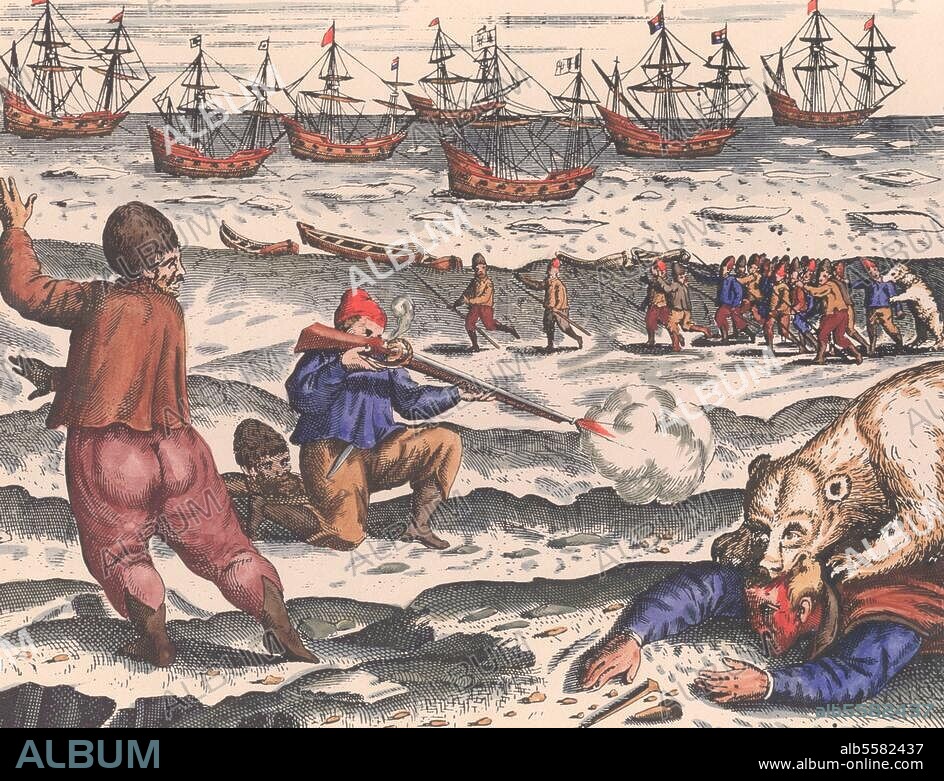 ANONYM. Barents, Willem; holländ. Seefahrer. um 1550 - 1597. Eisbären greifen Expeditionsmitglieder an und zerreißen sie. (Reisen unter Leitung Barents zur Entdeckung einer Nordostpassage 1594 ff.). Kupferstich, spätere Kolorierung. Aus: Gerrit de Veer, Waerachtighe Beschrijvinghe van die Seylagien (..),1598. Berlin, Sammlung Archiv für Kunst und Geschichte.