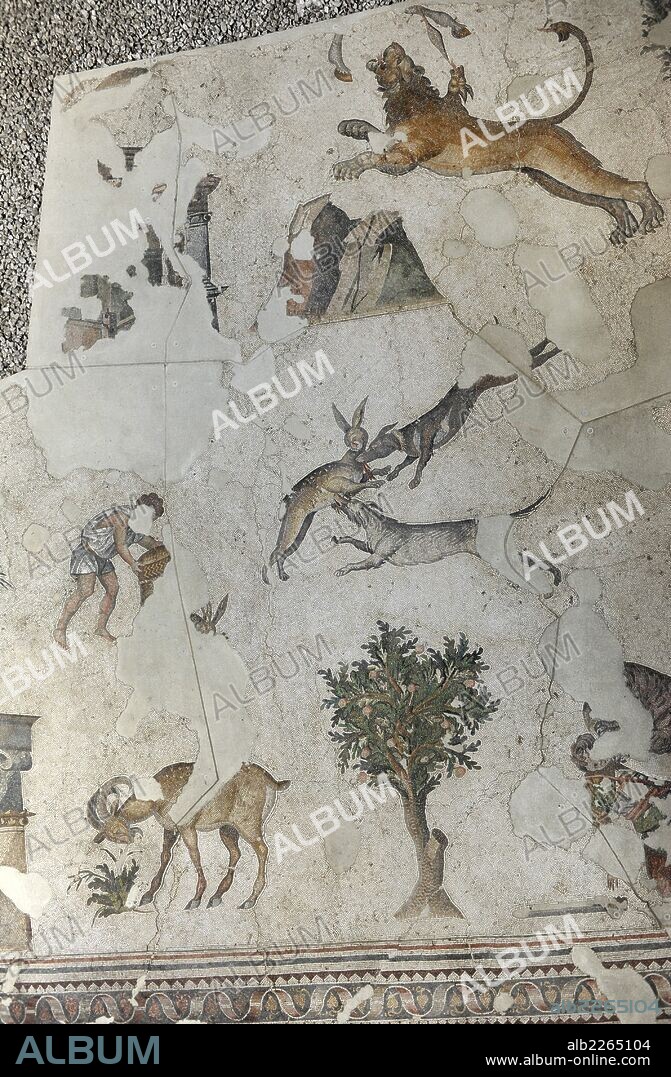ARTE ROMANO. IMPERIO DE ORIENTE. TURQUIA. Detalle de uno de los mosaicos que decoraban los pavimentos del antiguo Palacio del Imperio Bizantino construido por orden de Constantino (s. IV), llamado el Gran Palacio Imperial. Fechado entre los siglos IV-VI. MUSEO DE LOS MOSAICOS (MOZAIK MÜZESI). Estambul. Turquía.