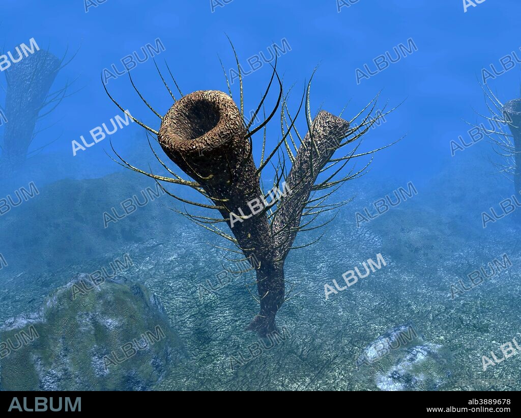A species of Pirania, a primitive sponge that populated the ocean floors about 505 million years ago. The stems were hollow with bunches of long spicules attached to them.