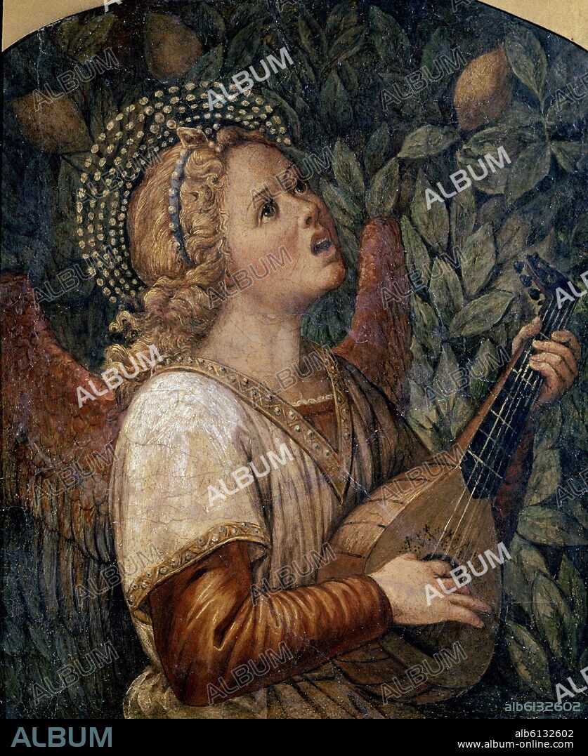 MELOZZO DA FORLI. EL ANGEL MUSICO - SIGLO XV - FRESCO - 63x52 cm - NP 2843 - RENACIMIENTO ITALIANO.