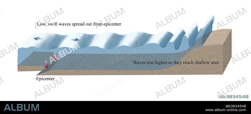 A diagram showing the evolution of tsunami waves following an underwater earthquake at a subduction zone.