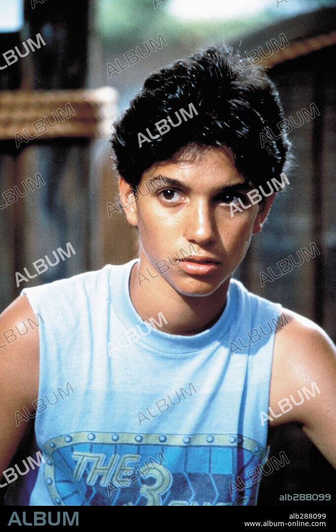 RALPH MACCHIO in THE KARATE KID, 1984, directed by JOHN G. AVILDSEN. Copyright COLUMBIA PICTURES.