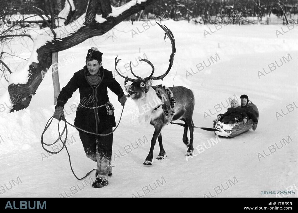 STOCKHOLM 1945-02-05. Orig. bildtext... MED REN OCH ACKJA PÅ SKANSEN. Lappen Torkel har dragit in på Skansen, där han med sin familj flyttat in i lappkåtan, och på måndagen bjöds barnen på Skansen åkturer i ackja, dragen av en riktig ren. Här kommer ekipaget med Torkel för säkerhetens skull i täten. Foto: AB Text & Bilder / SVT / Kod:5600 Mapp: Samer 1884 A1 sites: STOCKHOLM;SVERIGE.