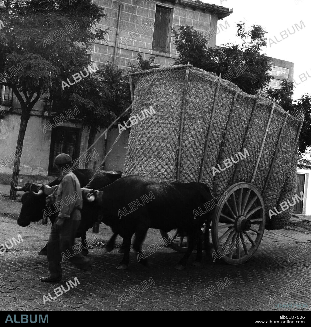 BOYERO CON CARRETA PARA PAJA - FOTOGRAFIA EN BLANCO Y NEGRO - 1959.