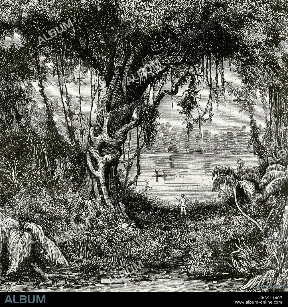South America. Peru, Nauta. Peruvian Amazon. Palta Lake. Rainforest. Drawing by Manuel Nao. Engraving by Laporta. La Ilustracion Espa–ola y Americana, July 15, 1876.