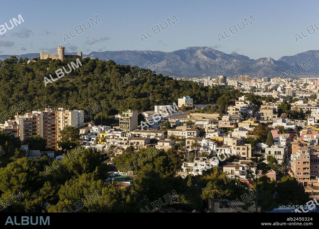 barrio de El Terreno, Distrito de Poniente , Palma de Mallorca , islas baleares, españa, europa.
